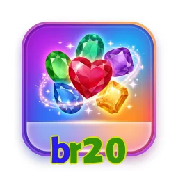 br20